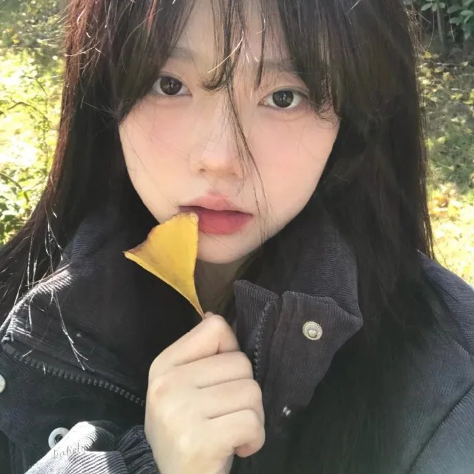 看见第三季